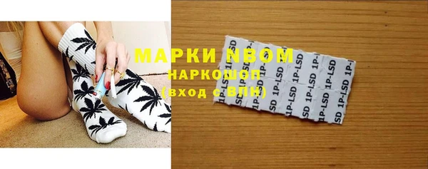 ГАЛЛЮЦИНОГЕННЫЕ ГРИБЫ Надым