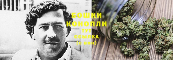 ГАЛЛЮЦИНОГЕННЫЕ ГРИБЫ Надым
