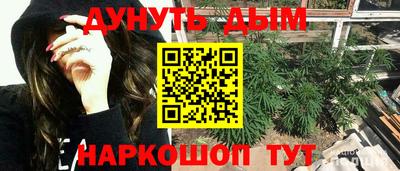 ГАЛЛЮЦИНОГЕННЫЕ ГРИБЫ Кандалакша