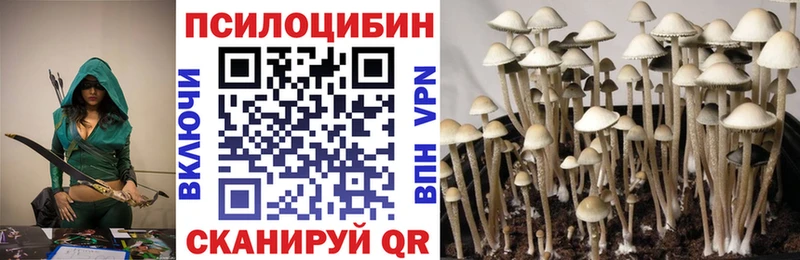 купить   Тобольск  Галлюциногенные грибы мухоморы 
