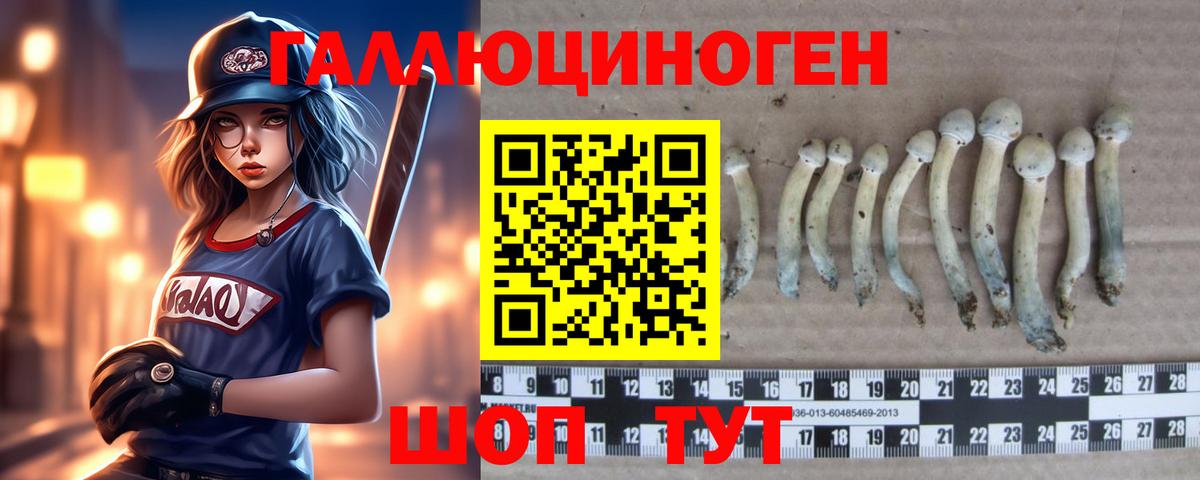 Галлюциногенные грибы Magic Shrooms  Вход с VPN  Псилоцибиновые грибы Psilocybine cubensis  Тобольск 