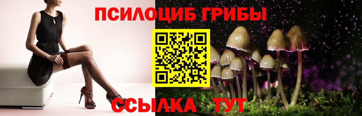 Псилоцибиновые грибы GOLDEN TEACHER  Тобольск 